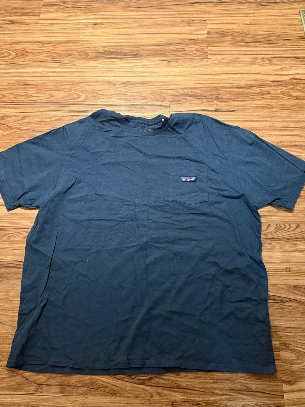 Patagonia Men's Dark Blue Pocket Tee